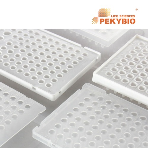 PEKYBIO PCR Plate 플레이트 페키바이오 PK00197 PK00198 PK00199 PK00200 PK00201 PK00202 PK00203 PK00204
