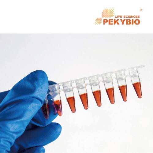 PEKYBIO PCR Tube 튜브 페키바이오 PK00178 PK00179 PK00180 PK00187 PK00188 PK00189 PK00190 PK00191 PK00192 PK00193 PK00194 PK00195 PK00196