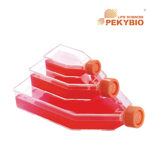 PEKYBIO Cell Culture Flask PK00263 PK00264 PK00265 TC Treated 셀 컬춰 플라스크 페키바이오